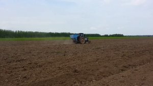 посев овса руном