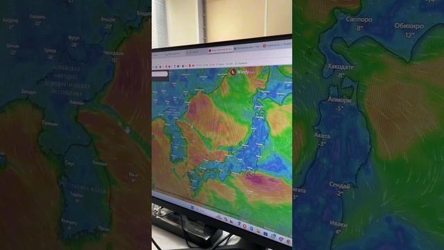Почему задержали судно? Почему перенесли рейс? Доставка авто из Японии и Южной Кореи