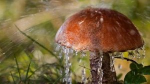 В Подмосковье музыка и исполнение Славич Мороз и Юлия Моргоева слова Владимир Маркин Ав Н Рудакова