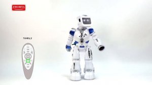 ZHORYA TOYS ZY796835  ZYA-A2738