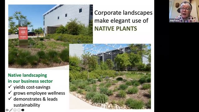 Growing a Movement for Native Plants USGBC-MGC COFFEE BREAK 2020 with Jean Ponzi смотреть онлайн