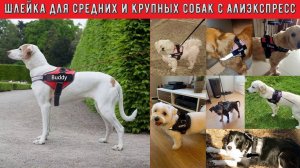 Шлейка для средних и крупных пород собак с АлиЭкспресс Товары для собак из Китая