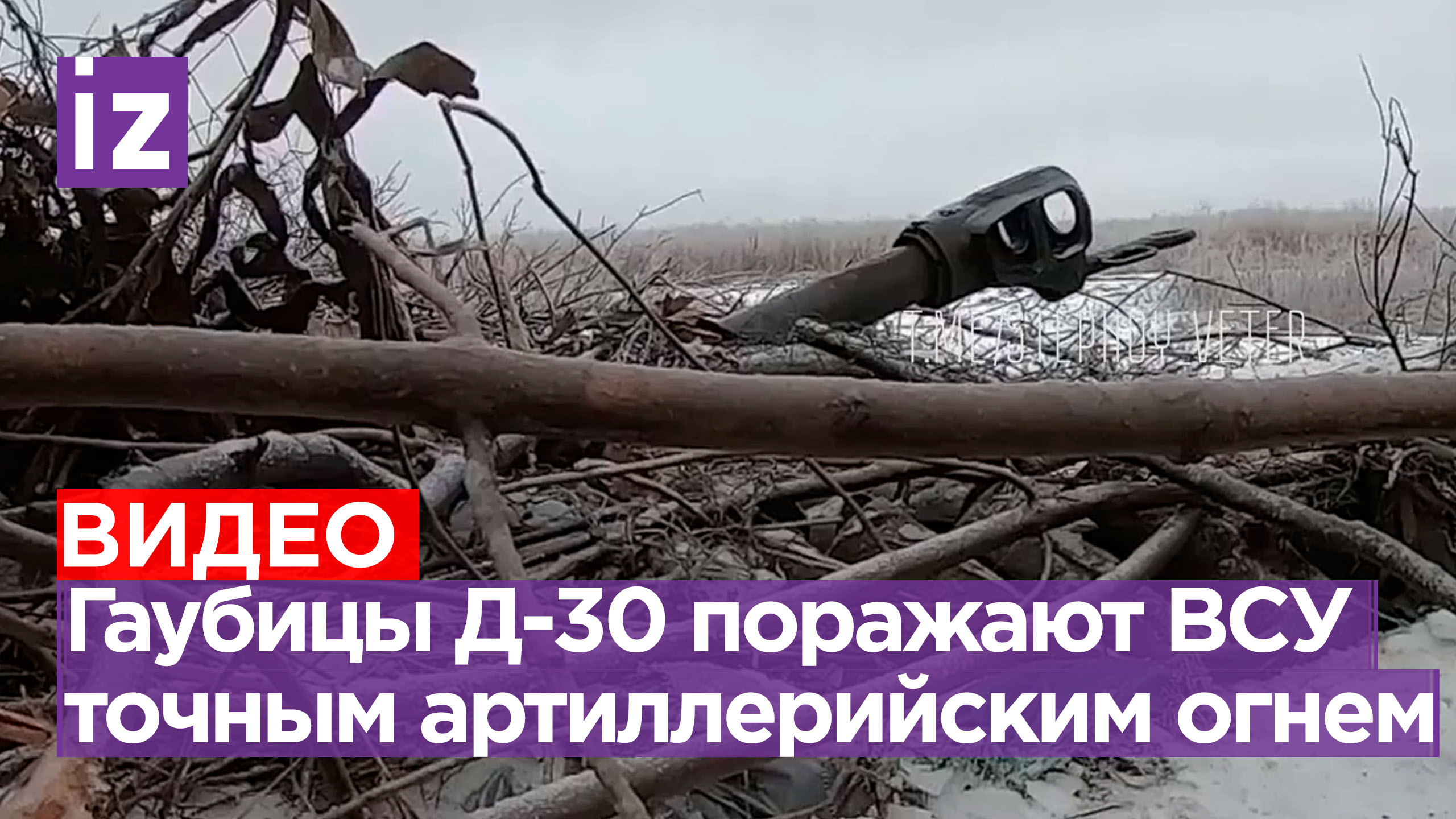 Расчеты 122-мм гаубиц Д-30 уничтожают замаскированные опорники националистов / Известия