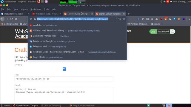 Targeted web cache poisoning using an unknown header смотреть онлайн