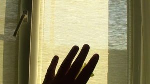 ЗАЩИТА ОРХИДЕИ от Солнца, 3 варианта - практический опыт, притенение ОРХИДЕЙ на разных окнах