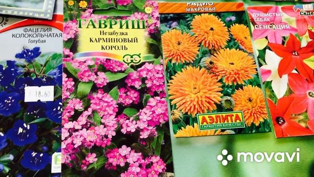 НЕПРЕМЕННО ПОСЕЙТЕ ЭТИ ЦВЕТЫ! СЕЗОН 2022 - СТАНЕТ ЛУЧШИМ!#семенамноголетников#красивыецветы#урал.mp4
