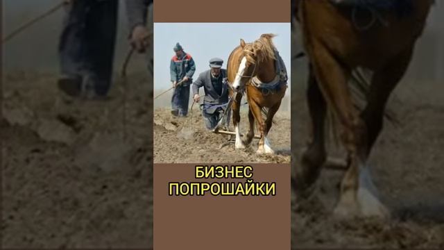 Раджаб Гимбатов и его территория правды о бизнесе попрошаек. Бизнес, который построен на нашем дове