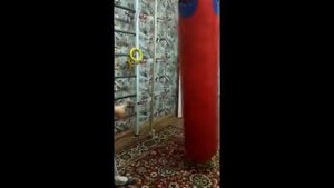 Купили грушу, ребёнок счастлив!)