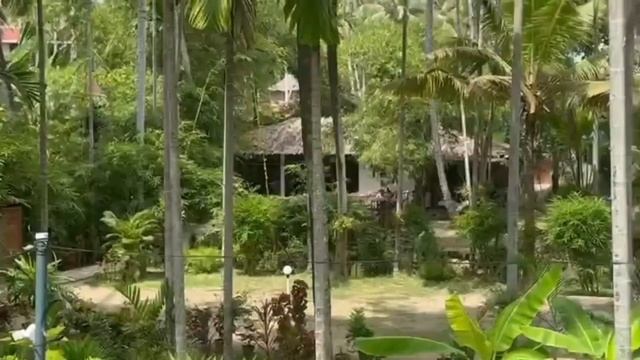 КЕРАЛА, ИНДИЯ смотреть онлайн