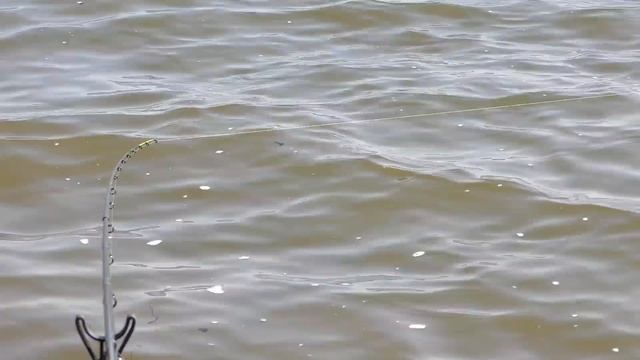 Ловля леща фидером на водохранилище. Минск Рыболовный - Выпуск 1