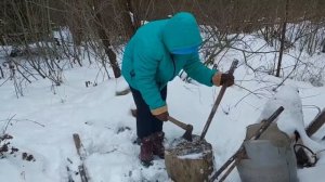 Наклонились молодые туи - пришлось подвязывать