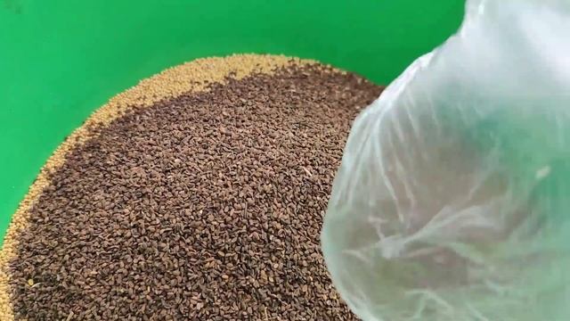 Сидераты. Осенний посев. смотреть онлайн