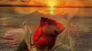 Аромат роз Михаил Борисов