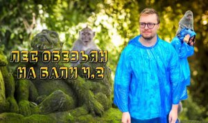 ЭРУ УКУСИЛА ОБЕЗЬЯНА? | ЛЕС ОБЕЗЬЯН НА БАЛИ | Ч. 2