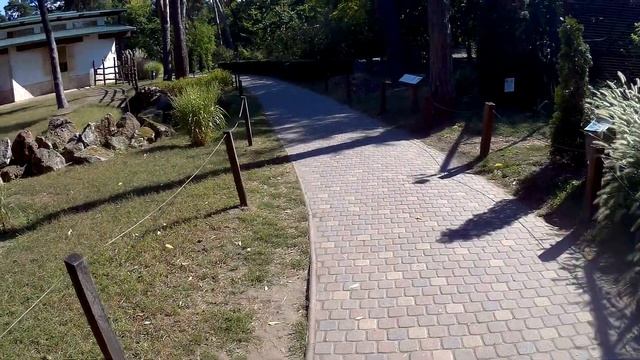 Дебрецен. Восхитительная бюджетная Европа.