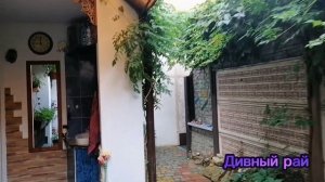 Гостевой дом в с. Дивноморское. Зелёный рай.