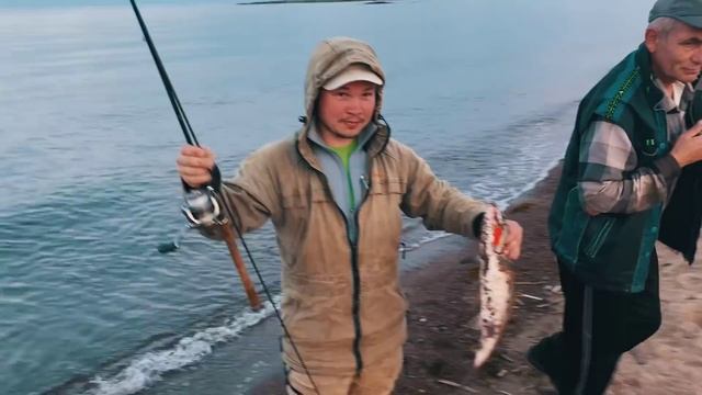 ЗАБРОС – ПОКЛЕВКА. ЛОВЛЯ ГОРБУШИ В МОРЕ. ДЕЛИКАТЕСЫ.  СКАЗОЧНАЯ РЫБАЛКА В ЧАВАНЬГЕ НА КОЛЬСКОМ.