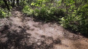 КАК ТОРМОЗИТЬ НА ВЕЛОСИПЕДЕ | ПРИЁМЫ ТОРМОЖЕНИЯ НА МТБ