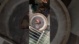 Пиролизная печь буржуйка время полного сгорания и остаток пепла