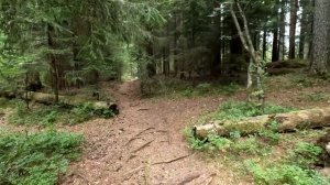 Ястребиное озеро (Карелия)