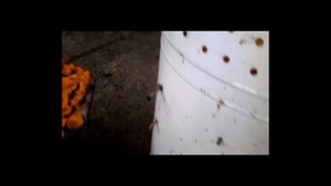 Сушилка из стиральной машинки.The dryer of the washing machine .