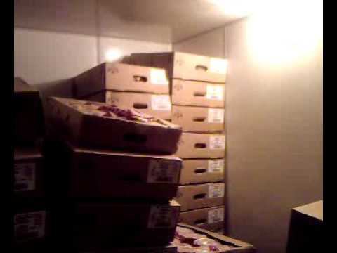 Холодильник-вид изнутри смотреть онлайн