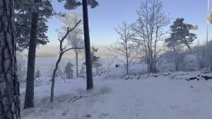 Relaxing Snowy Walk in Stockholm, Sweden, 4K UHD Binaural sounds