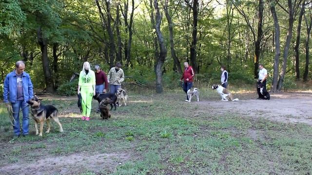Собака друг человека , а дрессировщик друг собак!