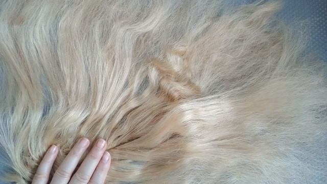 НЕ ВЫБРАСЫВАЙТЕ АУТЕНИЧНЫЕ ВЕЩИ РЕСТАВРАЦИЯ АНТИКВАРНОГО ПАРИКА RESTORATION OF ANTIQUE WIG
