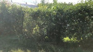 Поселок Радовицкий