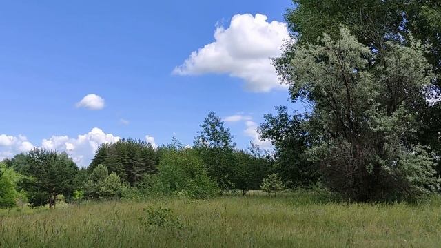 5 июля народный праздник День Евсевия. Что можно и нельзя делать. Народные приметы и традиции смотреть онлайн