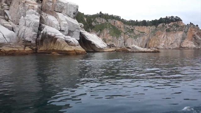 Морская прогулка на моторной лодке вокруг островов Петрова и Бельцова