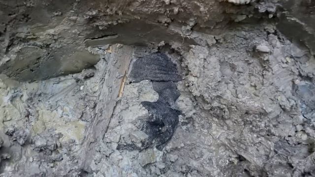 Раскопки на гиблых болотах
