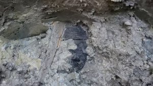 Раскопки на гиблых болотах