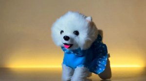 Собачка интерактивная с поводком. Лает, ходит, реагирует на движения. Игрушечная собачка