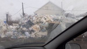 весна, цыган шубу продаёт. сколько стоит шкура быка.