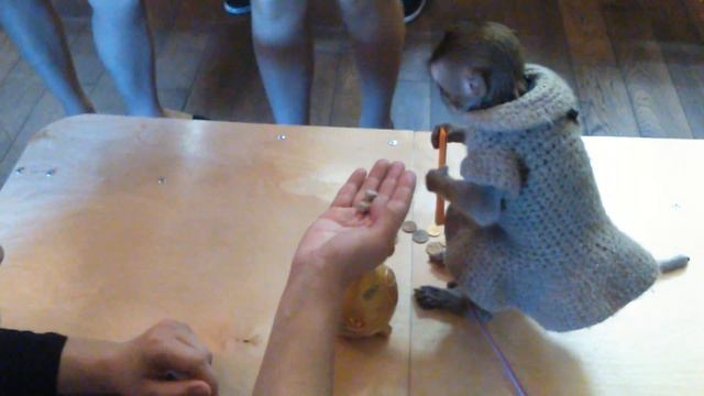 Игры обезьянки смотреть онлайн