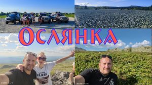 Путешествие на Перевал Дятлова,Гух,Ольвинский камень,Ослянка.DELIKA L400,PAJERO,SUBARU(часть 4)