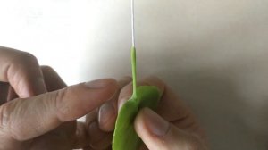 Урок 2  Листья из холодного фарфора. Часть 2