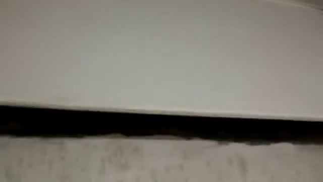 короед штукатурка своими руками смотреть онлайн