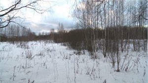 В Ярославле начнётся строительство дома для переселенцев из аварийного жилья