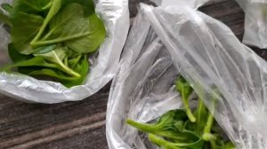 Импортный черенок петунии. Неукор. 1я партия.