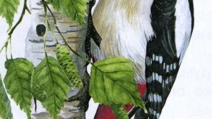 Кто чем поет?