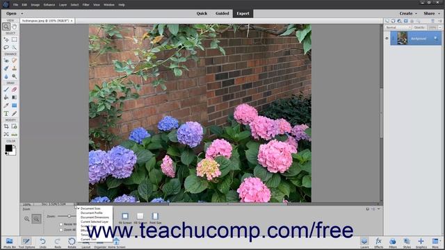 Learn How to View Document Information in Adobe Photoshop Elements 2023: A Training Tutorial смотреть онлайн