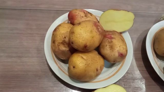 VID 20211205 1627431 Галактика сорт картофеля. хозяйство Ельниковский сад. смотреть онлайн