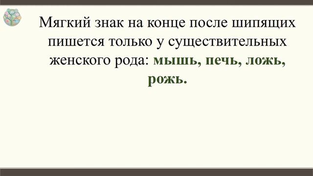 Правописание мягкого знака после шипящих у имен существительных