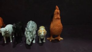 надо смотреть- как играть с игрушками животных- детская коллекция игрушек животных