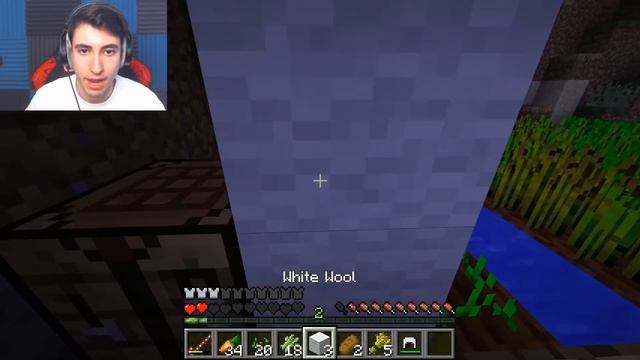 Minecraft but you can craft swords out of ANY BLOCK...