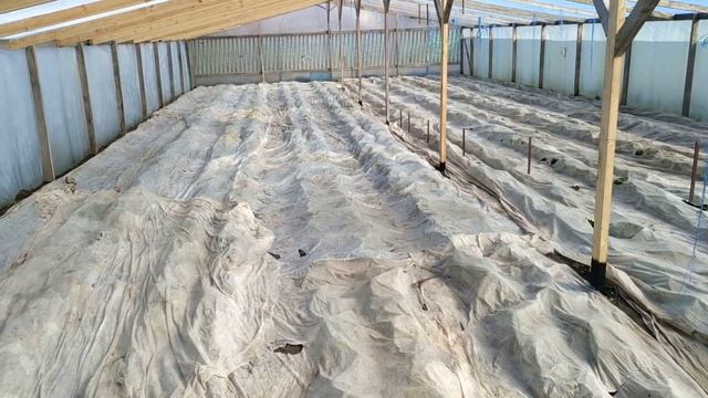 Как избавиться от конденсата в теплице смотреть онлайн