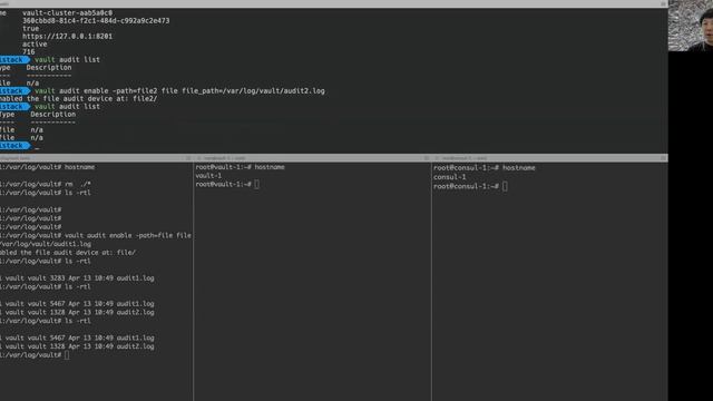 Vault - Audit Log смотреть онлайн